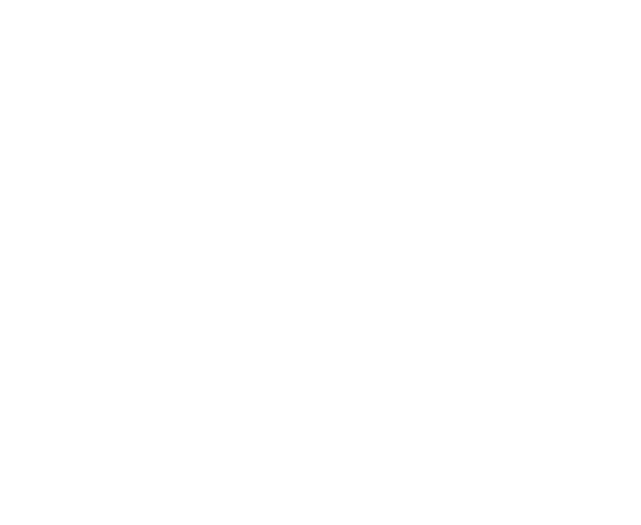 Panamerican University